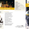 InFocus: At Risk – Overcoming Alcohol Pamphlet