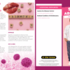 STD Prevention and Abstinence Brochures