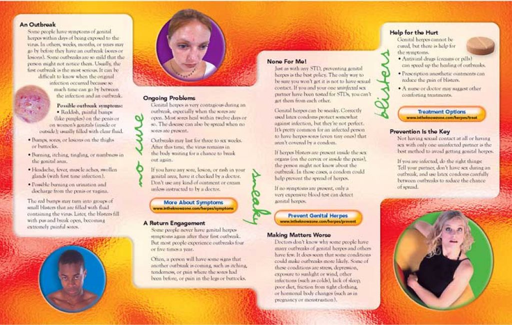 Genital Herpes Pamphlet Prevention & Treatment Resources
