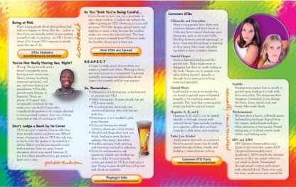 In The Know: STDs and Prevention-Never Too Safe Pamphlet