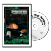 Hallucinogens DVD – Teen Education on Risks & Real Effects