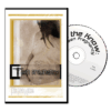 Teen Pregnancy DVD
