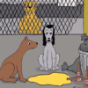 The Misadventures of Wags and Freckles Alcohol Prevention DVD and Video
