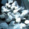 Crack DVD for Youth