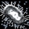 STDs Abstinence Video Program
