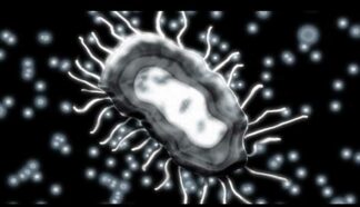 STD prevention video
