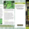 In The Know: Kratom Pamphlet