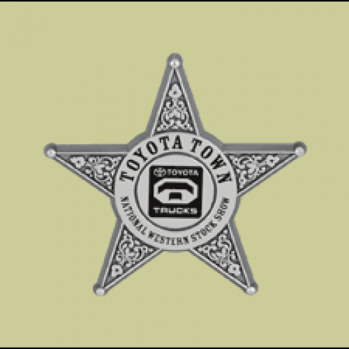 Junior Deputy Sheriff Officer Star Plastic Badge | Prevention and Treatment Resource Press