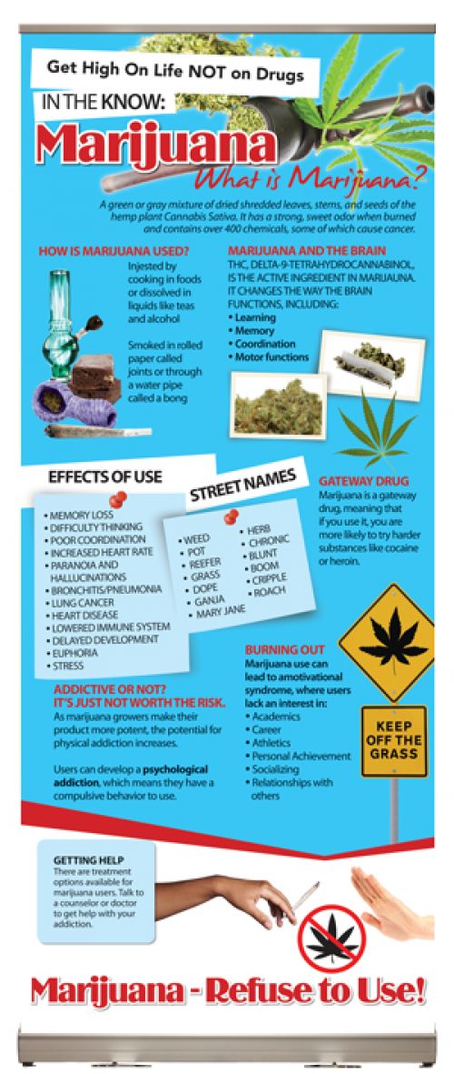 In the Know: Marijuana Presentation Display