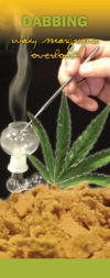 In the Know: Dabbing - Waxy Marijuana Overload Pamphlet
