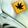 marijuana and driving pamphlets