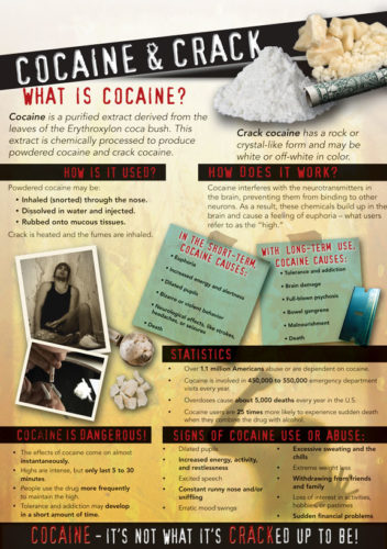 In the Know: Cocaine and Crack Wall Display Graphic