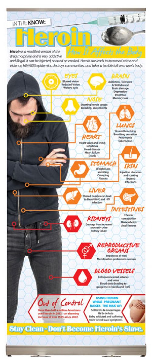 Heroin: How It Affects the Body Presentation Display