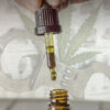 "In The Know: Cannabidiol (CBD) - Trend or Treatment" Pamphlet