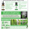 Cannabidiol (CBD) Presentation Display