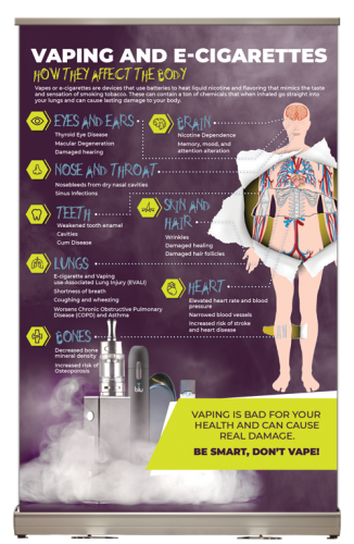 Vaping: How it Affects the Body Tabletop Display