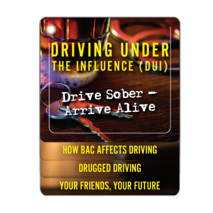 Driving Under The Influence DUI Drive Sober Arrive Alive Flip Tips