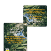 CBD Outreach Tools