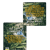 CBD Handouts
