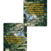 CBD The Great Unknown
