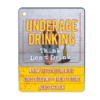 Underage Drinking Prevention Flip Tips