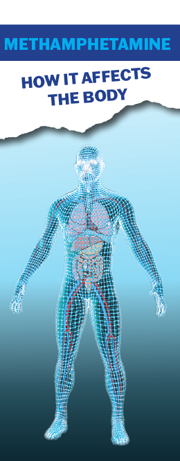 Methamphetamine: How It Affects The Body Pamphlet