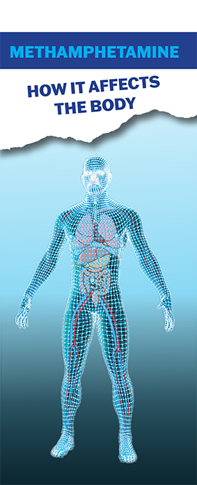 How Methamphetamine Affects The Body Pamphlets