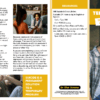 Teen Suicide Prevention Brochures