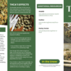 THCA Awareness Pamphlets