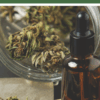 THCA Over the Counter THC Pamphlets