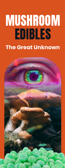 Mushroom Edibles Drug Awareness Pamphlets