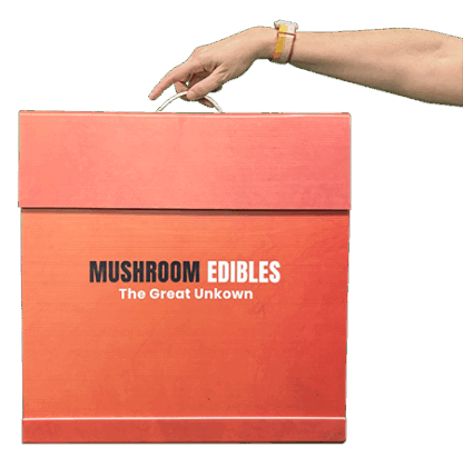Mushroom Edibles Awareness Travel Case