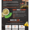 Mushroom Edible Awareness Retractable Presentation Display
