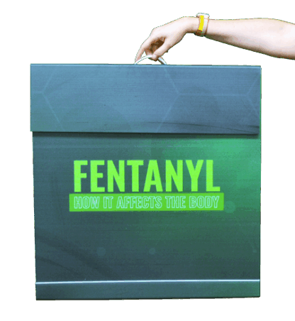 Fentanyl How it Affects the Body Info Tower Case