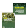THC Prevention Handouts
