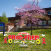 Bee Drug-Free yard signs lawn display with main Our School Is Drug-Free sign, bee and beehive themed pieces, and red ribbon stakes