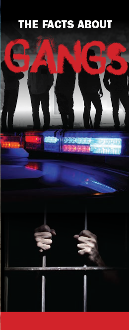 The Facts About Gangs Pamphlet